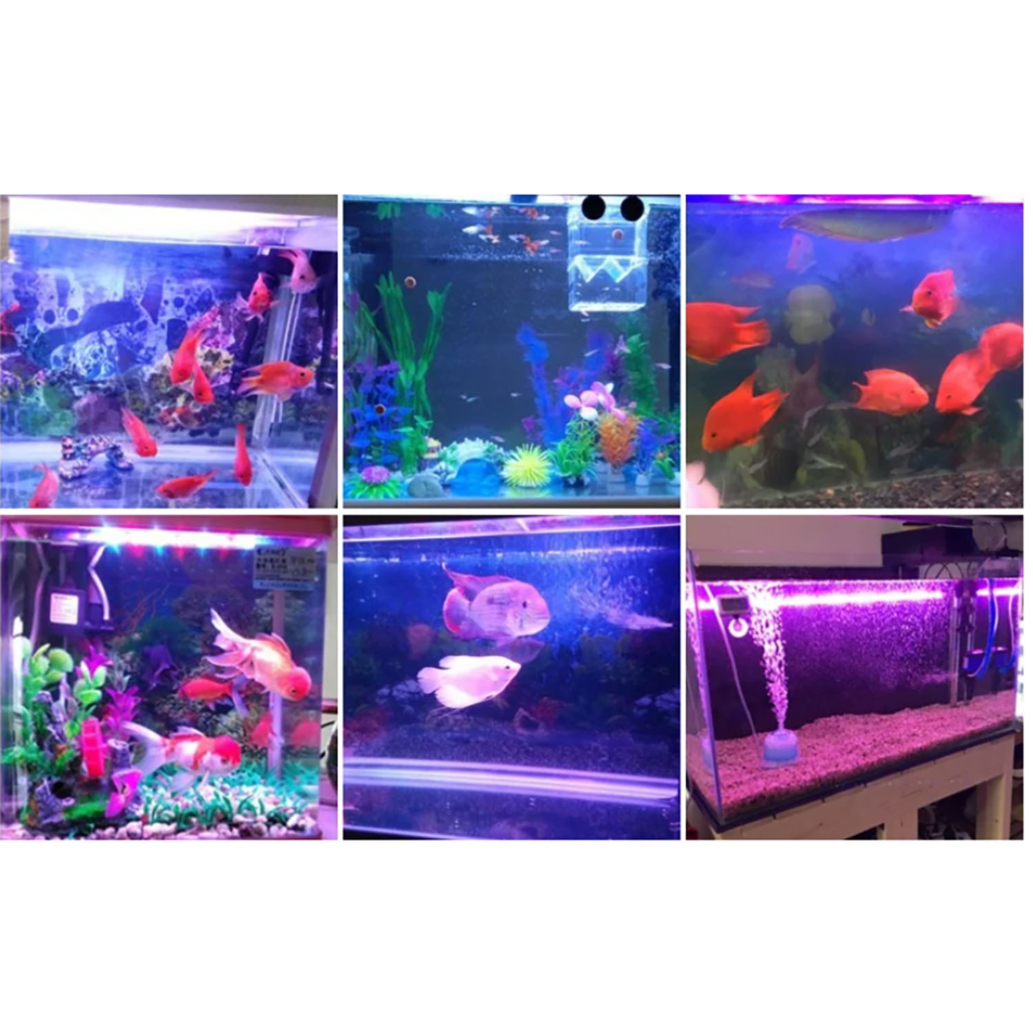 Marine Aquarium Uv - ไฟ LED สำหรับตู้ปลาทะเล กำลังสูง 50W 60W