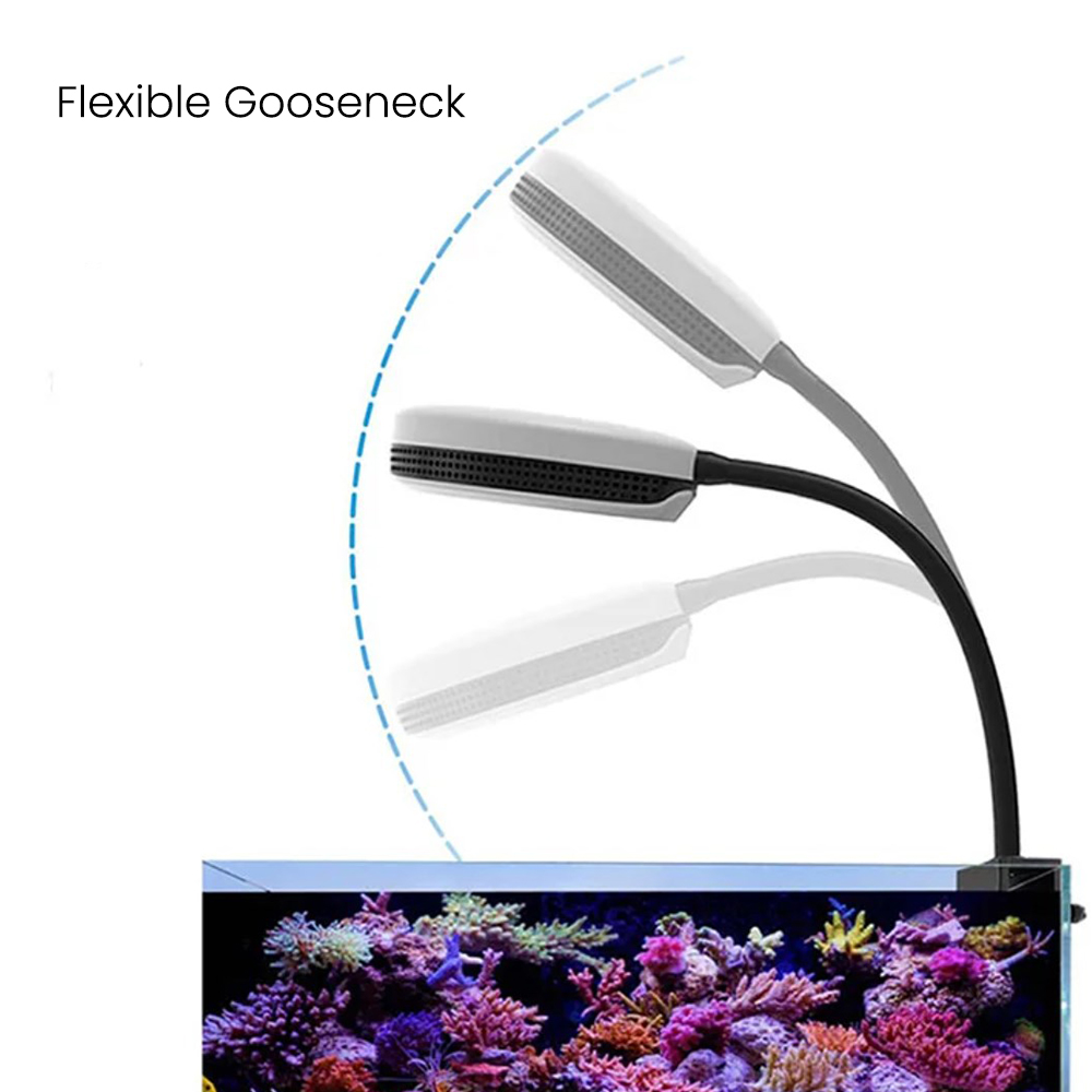ไฟ LED สำหรับตู้ปลา Spectra SP - Aquarium Marine Fishes บทวิจารณ์และราคา