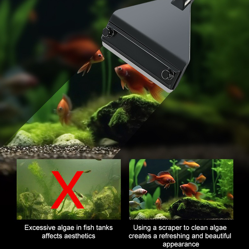พิพิธภัณฑ์สัตว์น้ําสาหร่ายRemo - Marine Aquarium Glass Scraper บทวิจารณ์และราคา