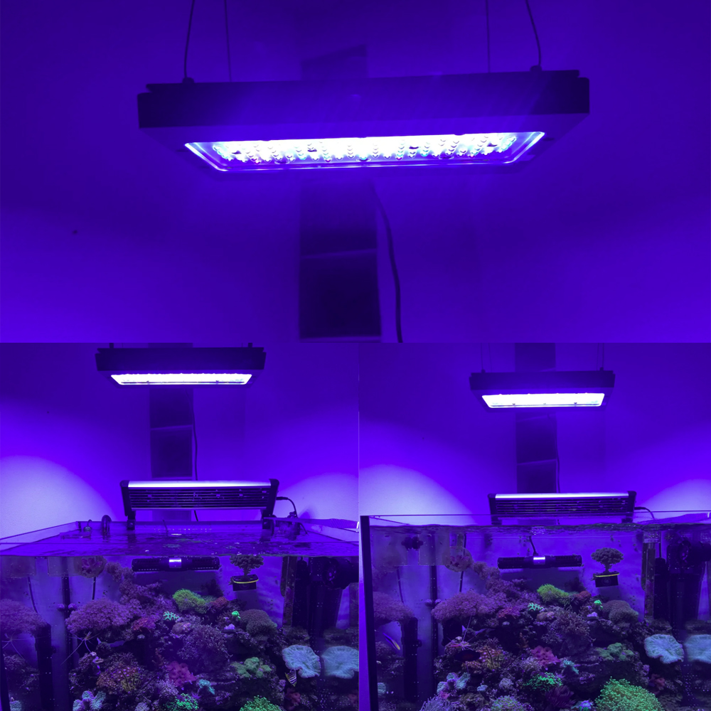 A8se Pro III MAX สีน้ำเงิน 240 - Aquarium Marine Blue บทวิจารณ์และราคา