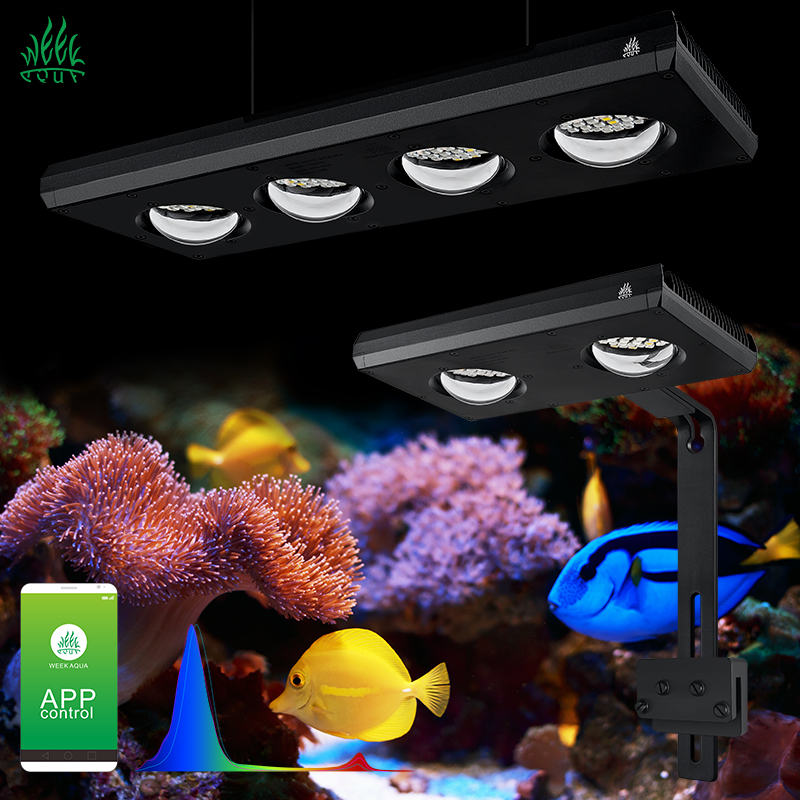 ไฟ LED สำหรับตู้ปลาทะเล ZXY Ho - Aquarium Marine Blue บทวิจารณ์และราคา