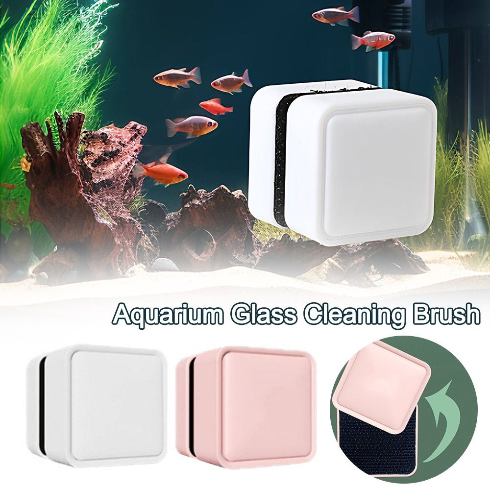 แปรงทำความสะอาดกระจกตู้ปลาแบบแ - Marine Aquarium Glass Scraper บทวิจารณ์และราคา