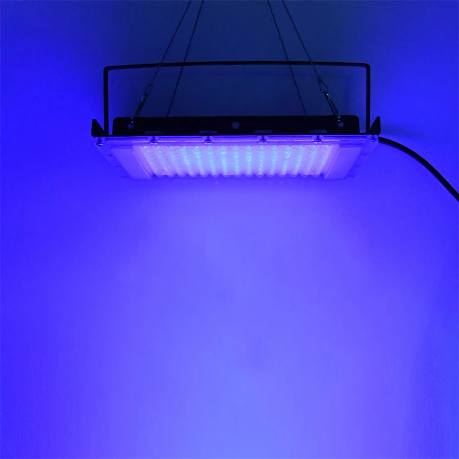 300W UV 395nm แสงสีดํา Ultravi - Marine Aquarium Uv บทวิจารณ์และราคา