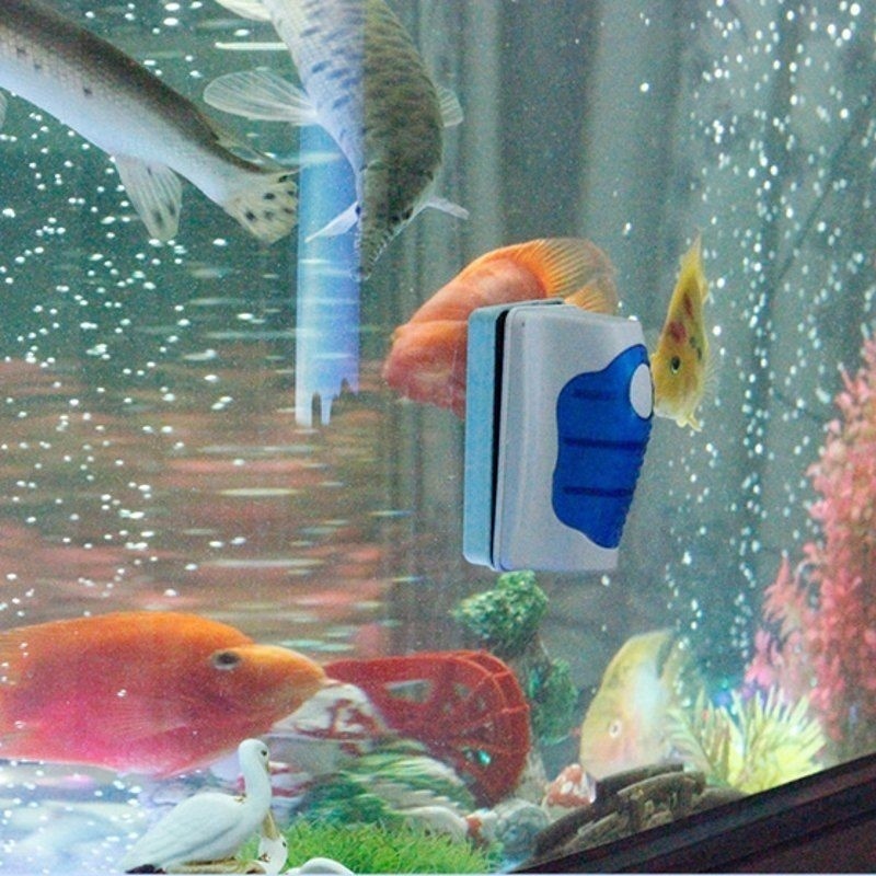 ตู้ปลาเครื่องขูดแก้วทําความสะอ - Marine Aquarium Glass Scraper บทวิจารณ์และราคา