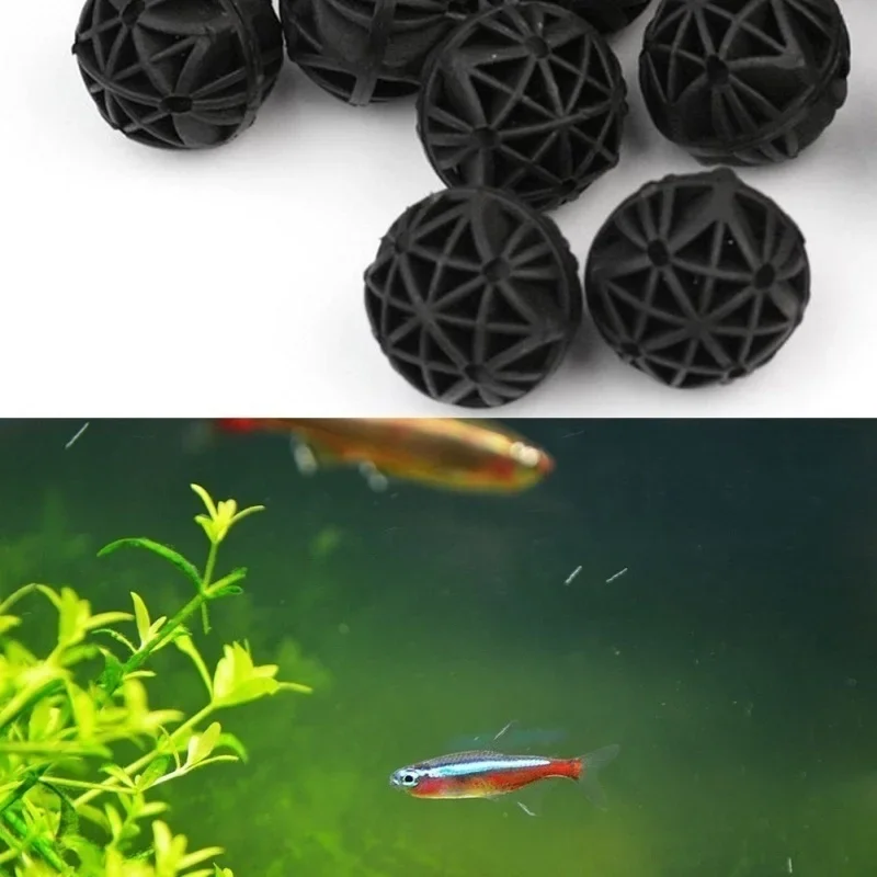 ไส้กรองชีวภาพสำหรับตู้ปลา ขนาด - Aquarium Marine Fishes บทวิจารณ์และราคา