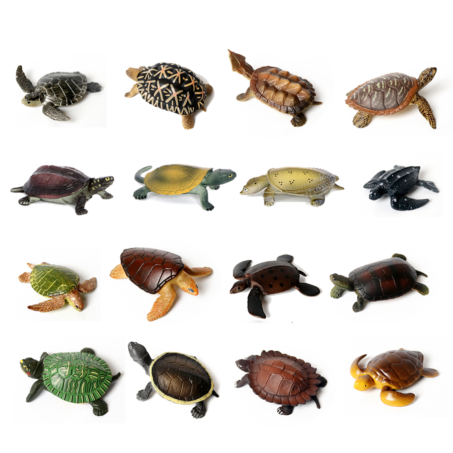 โมเดลเต่าทะเลขนาดเล็กเหมือนจริ - Aquarium Marine Fishes บทวิจารณ์และราคา